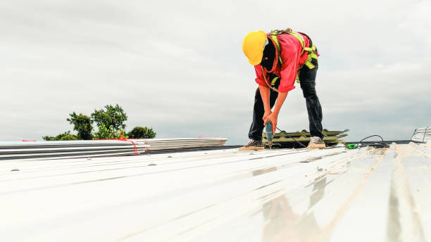 Best Flat Roofing  in Kaibito, AZ