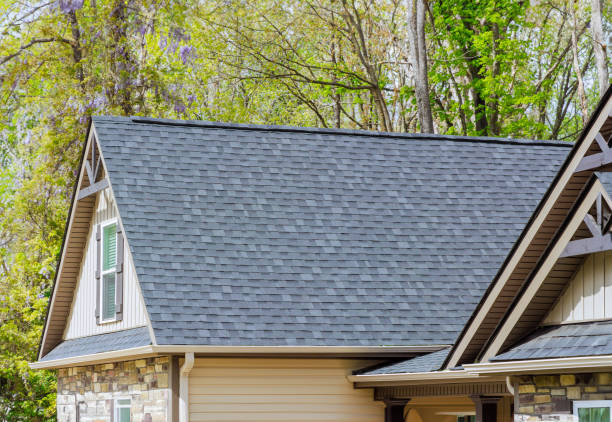 Best Storm Damage Roof Repair  in Kaibito, AZ